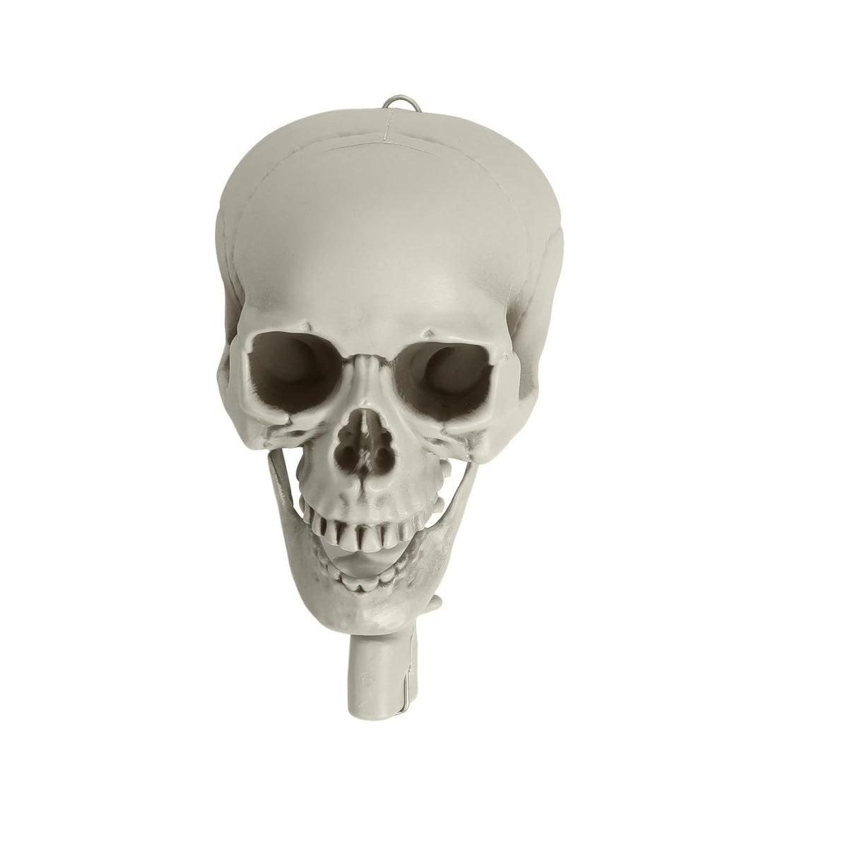 Life Size Halloween Skeleton R665886