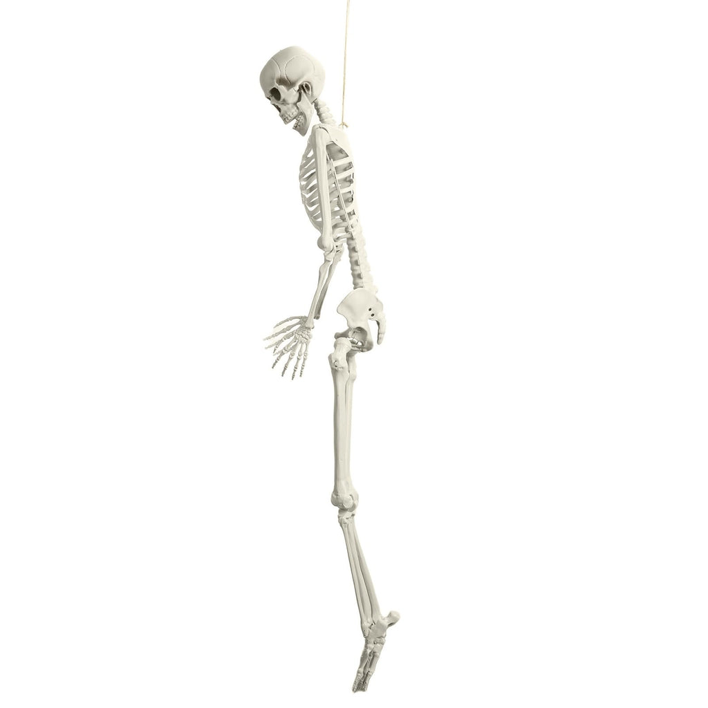 Life Size Halloween Skeleton R665886