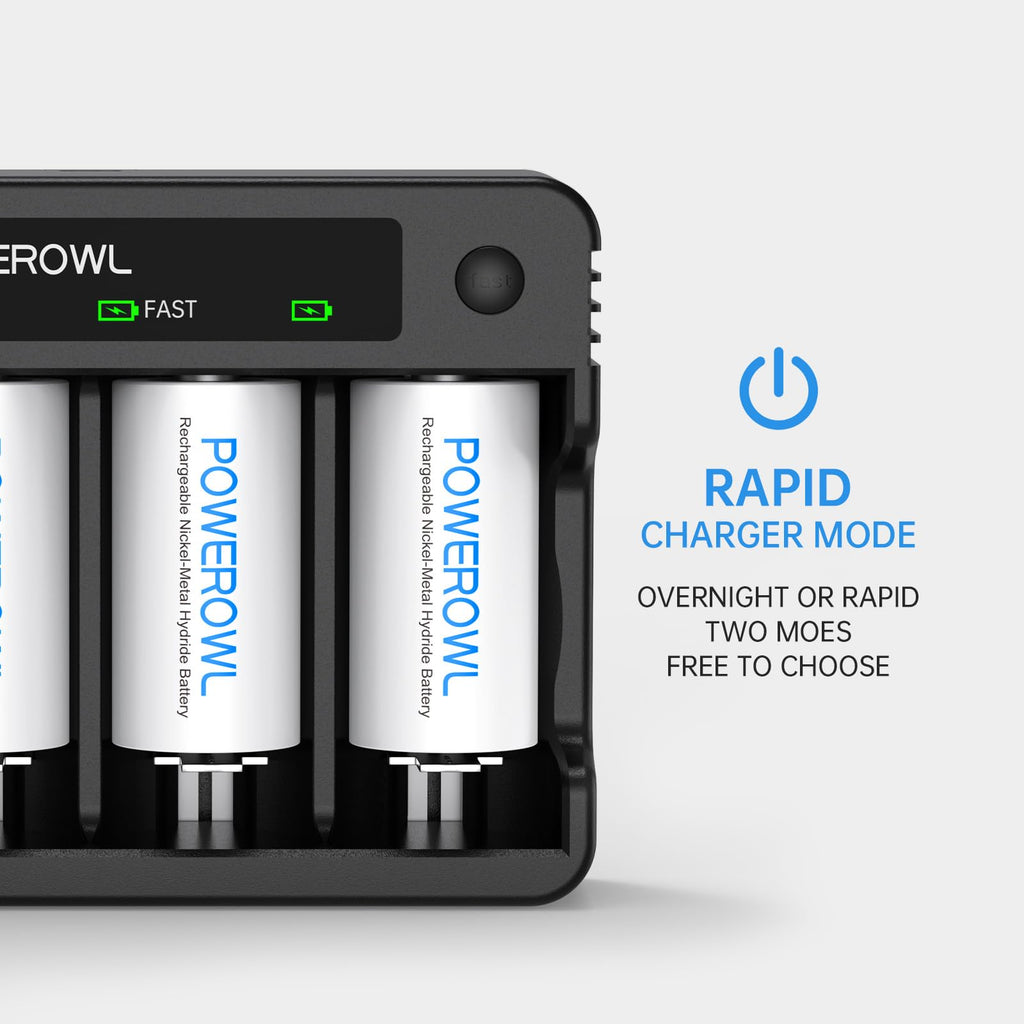 Rechargeable D Batteries with 4 Bay Battery Charger W837