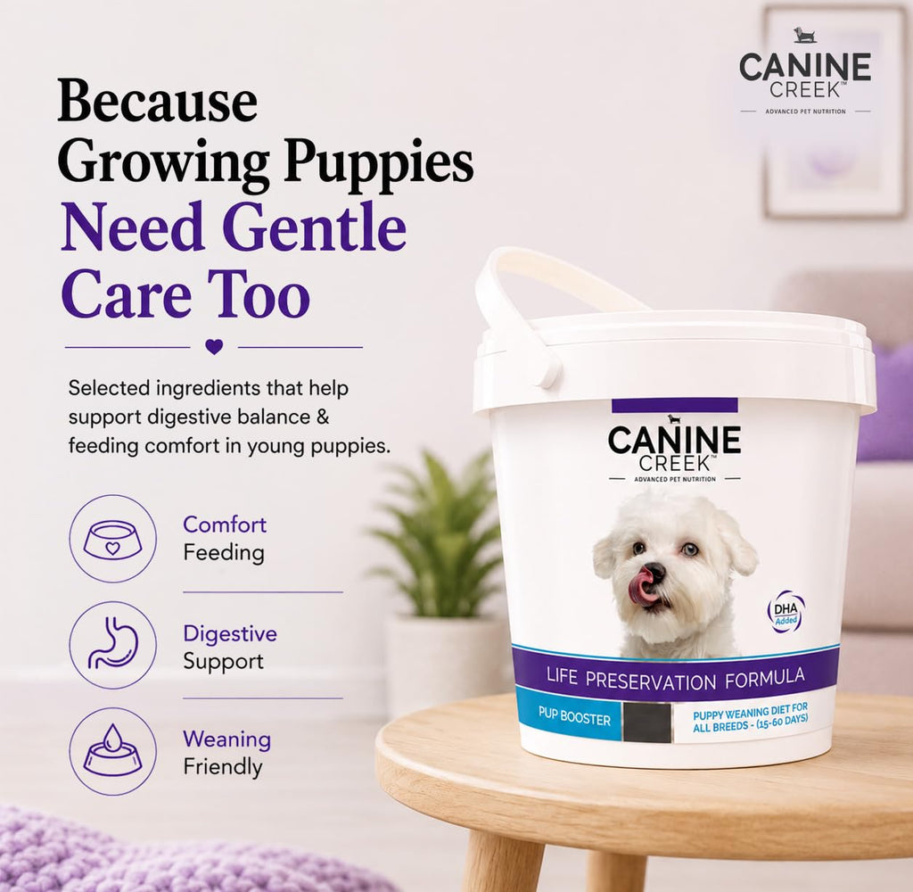 Puppy Weaning Diet 300g/10.5 Ounce W372085