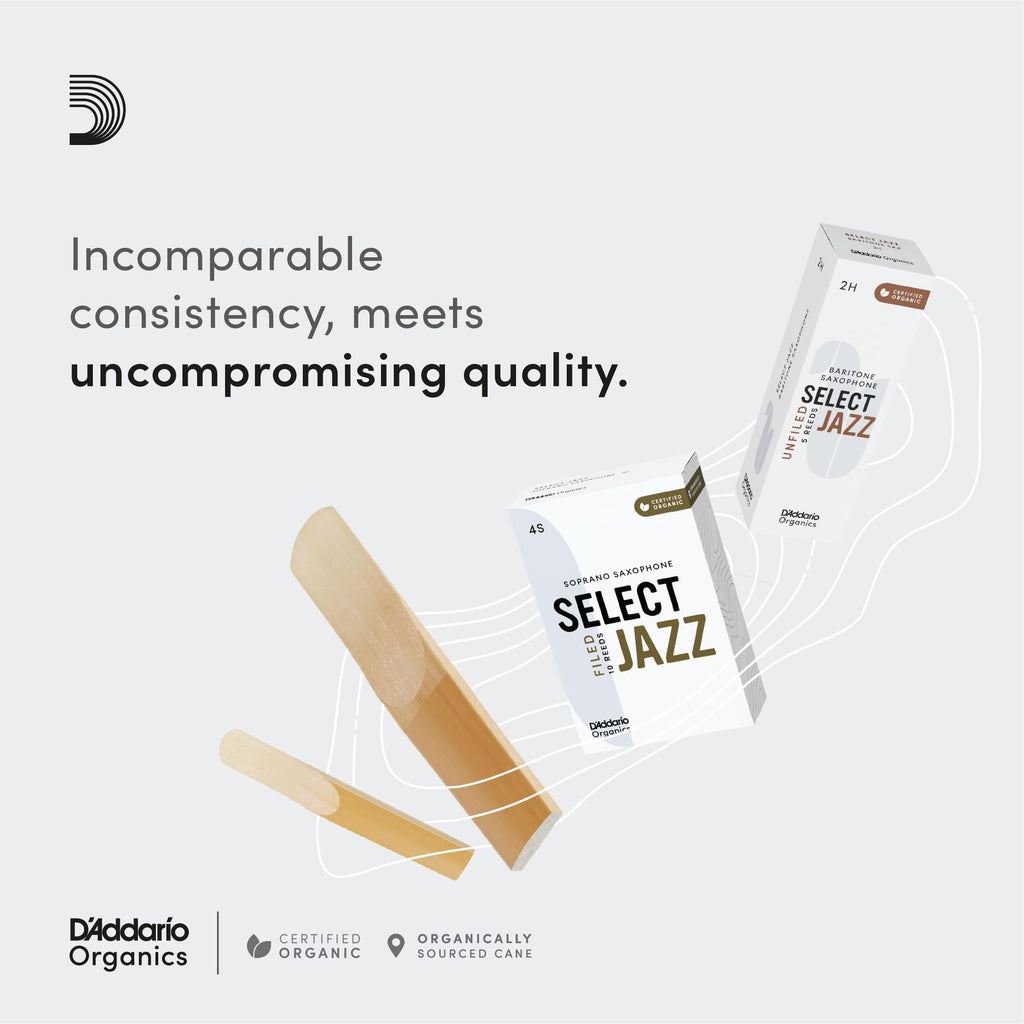 Alto Sax Reeds 2 Soft 3-Pack L73965
