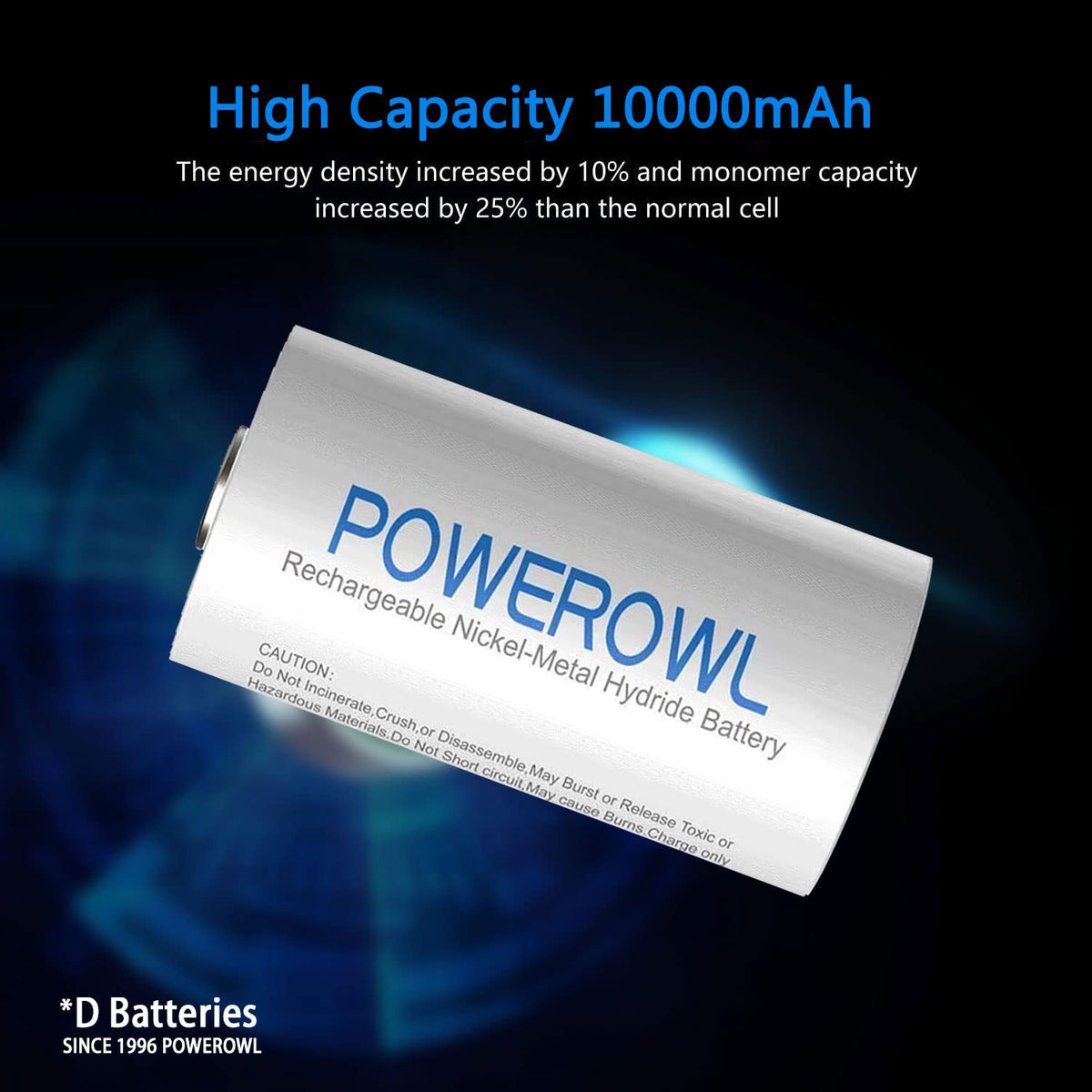 Rechargeable D Batteries with 4 Bay Battery Charger W837
