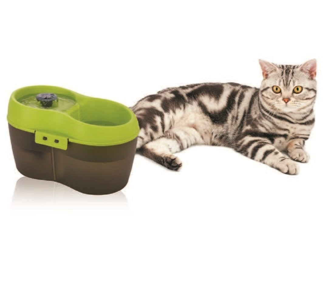 Lime Green Translucent Black 67 fl. oz Cat Water Fountain B6905