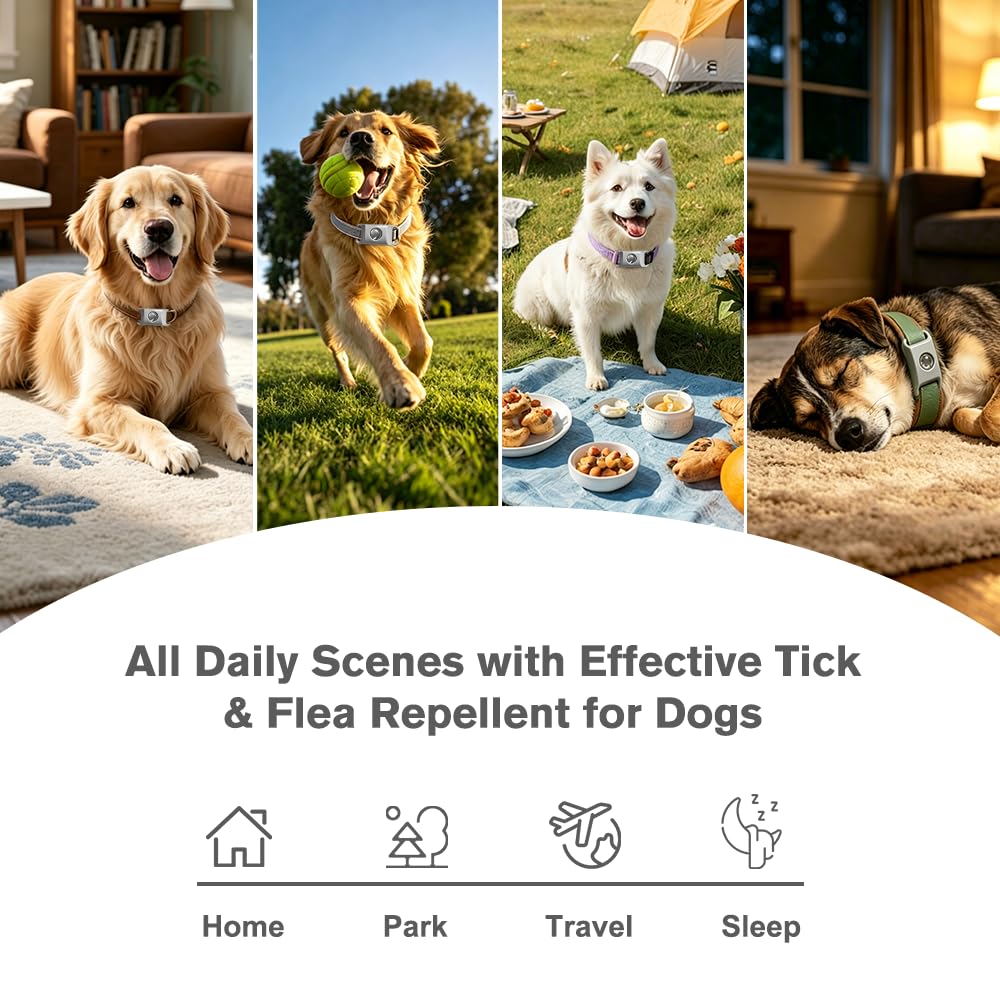 Flea and Tick Pendant for Dogs with 2 Silicone Buckles 4 Refills L807764