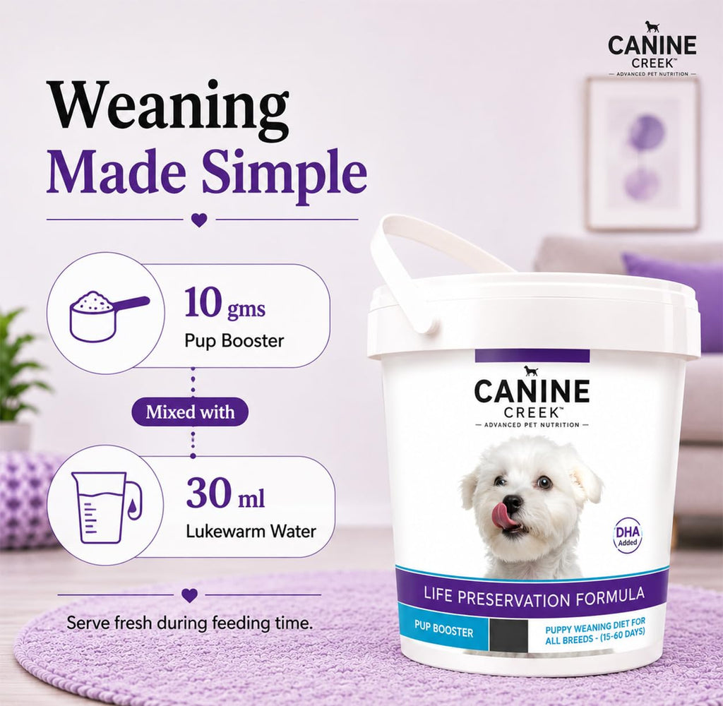 Puppy Weaning Diet 300g/10.5 Ounce W372085