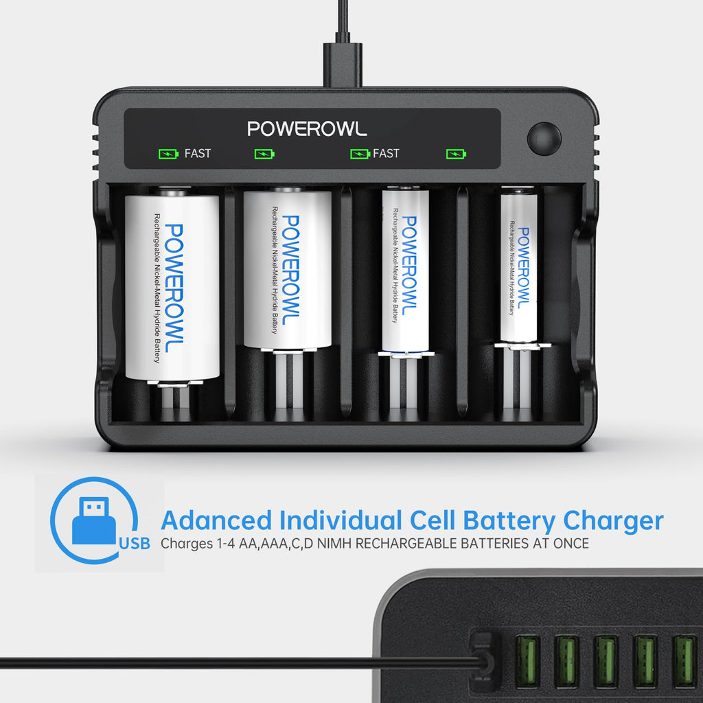 Rechargeable D Batteries with 4 Bay Battery Charger W837