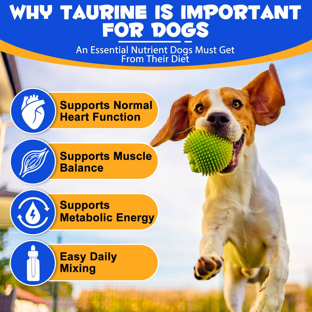 Taurine Liquid Supplement for Dogs 60ml V3055