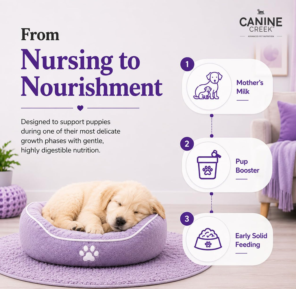 Puppy Weaning Diet 300g/10.5 Ounce W372085