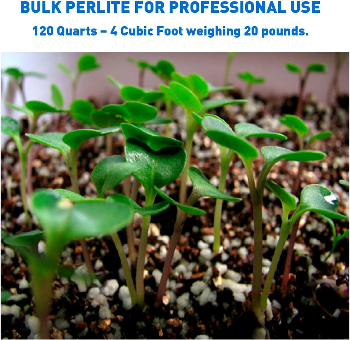 Perlite Horticultural Medium Grade Soil Additive 4 Cubic Feet 1 Bag T158911