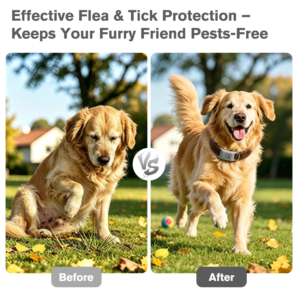 Flea and Tick Pendant for Dogs with 2 Silicone Buckles 4 Refills L807764