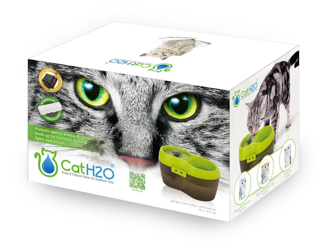 Lime Green Translucent Black 67 fl. oz Cat Water Fountain B6905