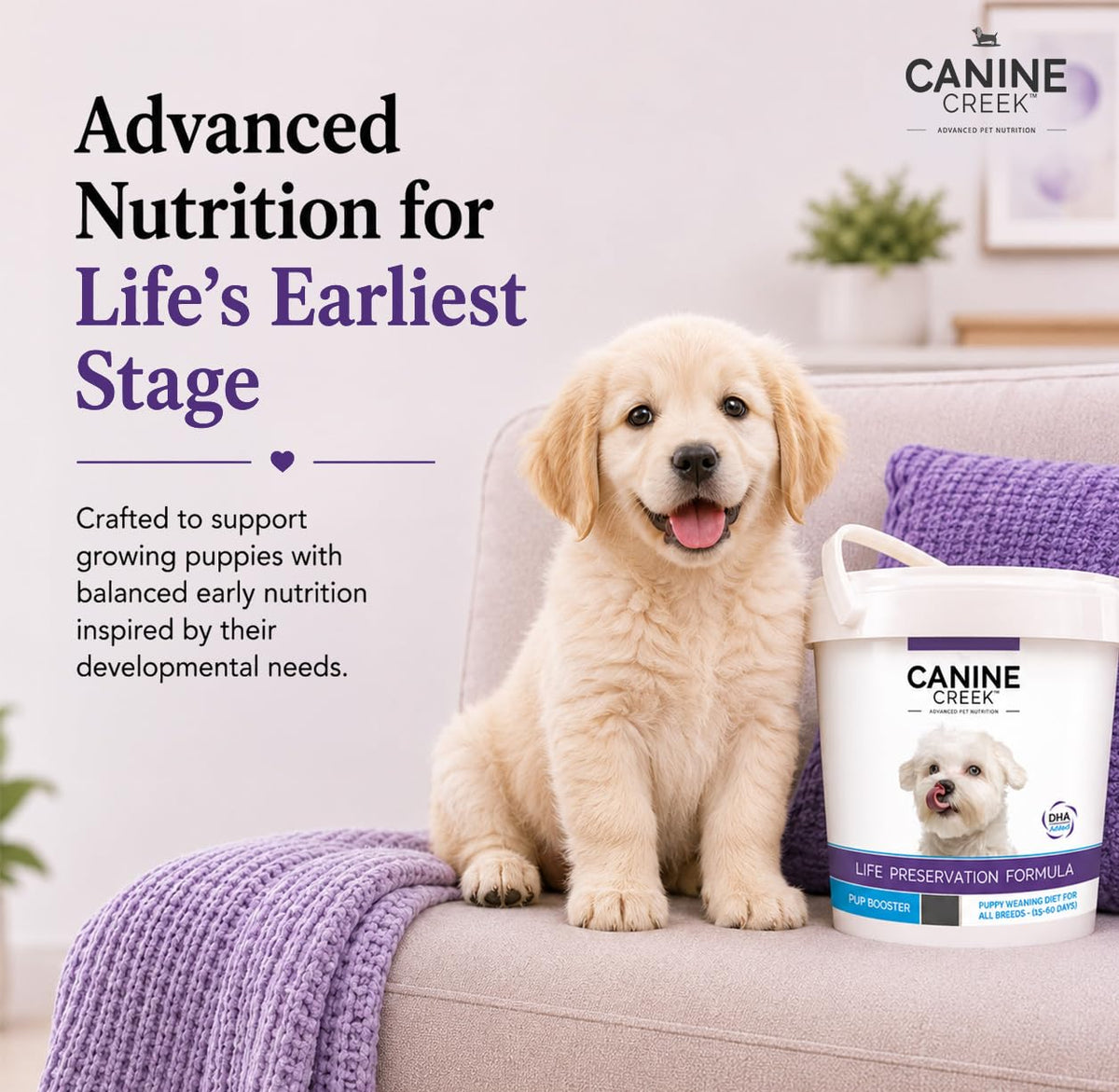Puppy Weaning Diet 300g/10.5 Ounce W372085