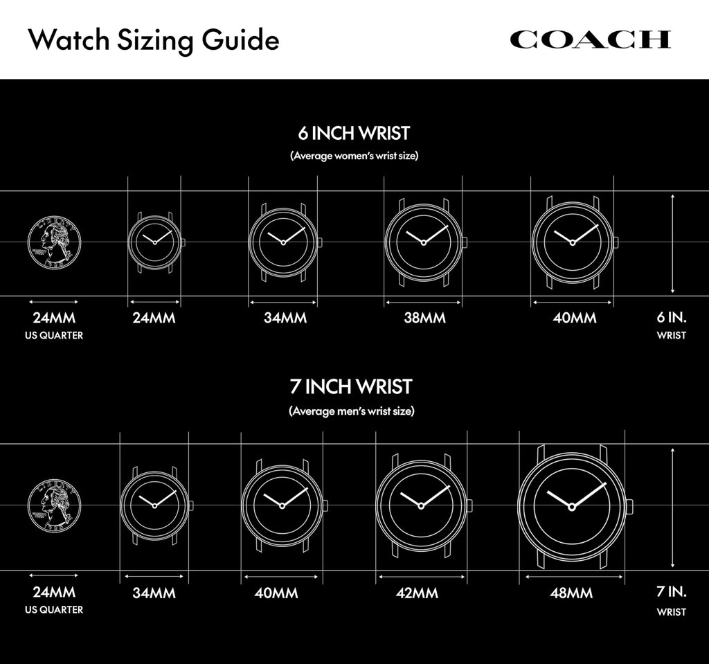 Men's Chronograph Water Resistant Watch V254