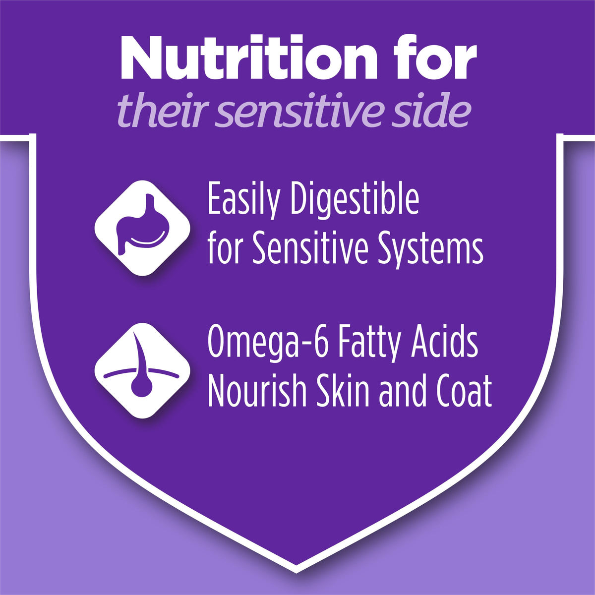 Sensitive Stomach & Skin Dry Cat Food 13 lb Bag T1465