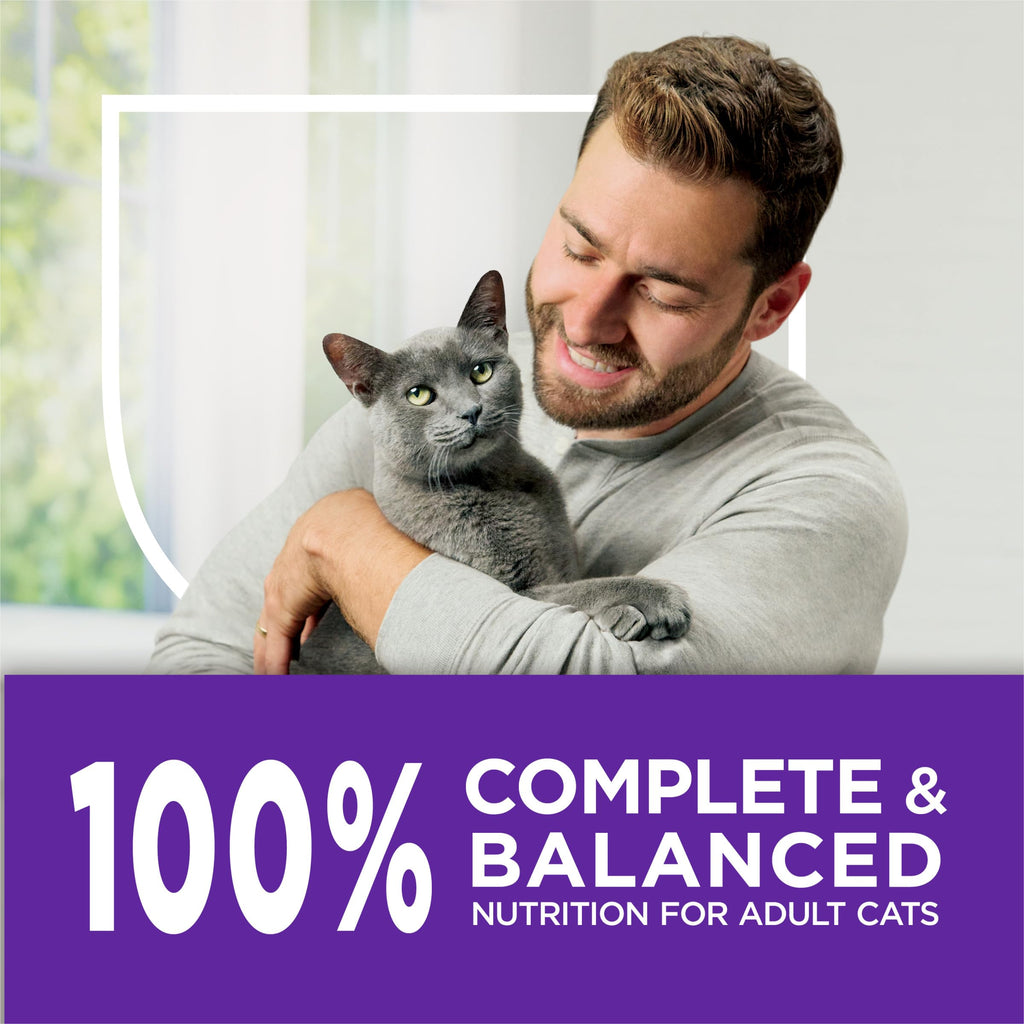 Sensitive Stomach & Skin Dry Cat Food 13 lb Bag T1465