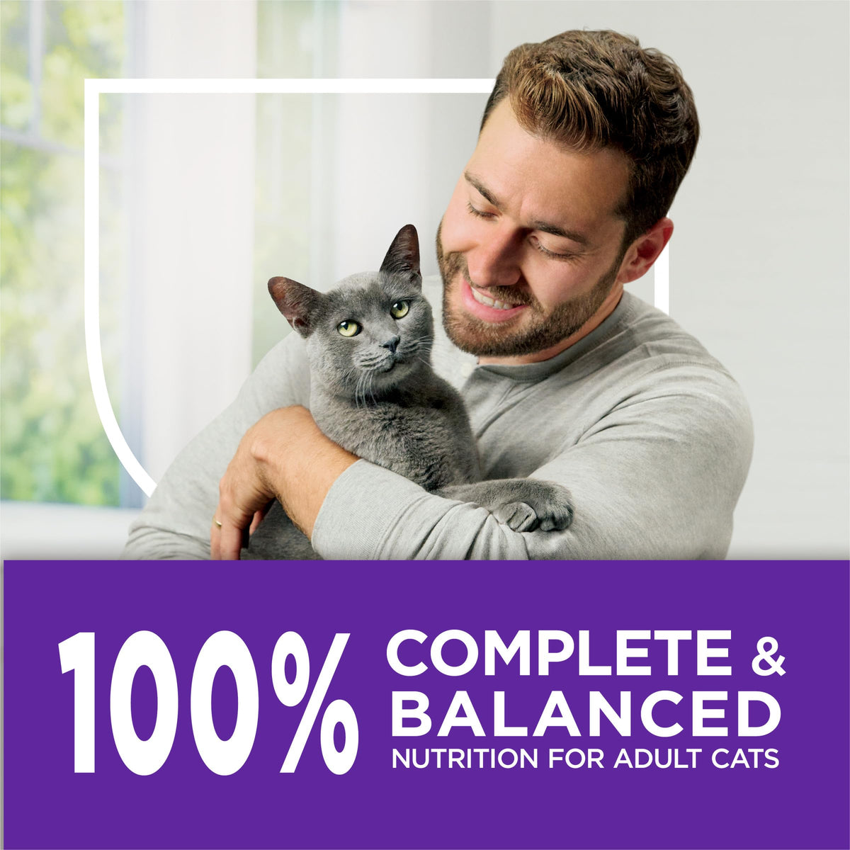 Sensitive Stomach & Skin Dry Cat Food 13 lb Bag T1465