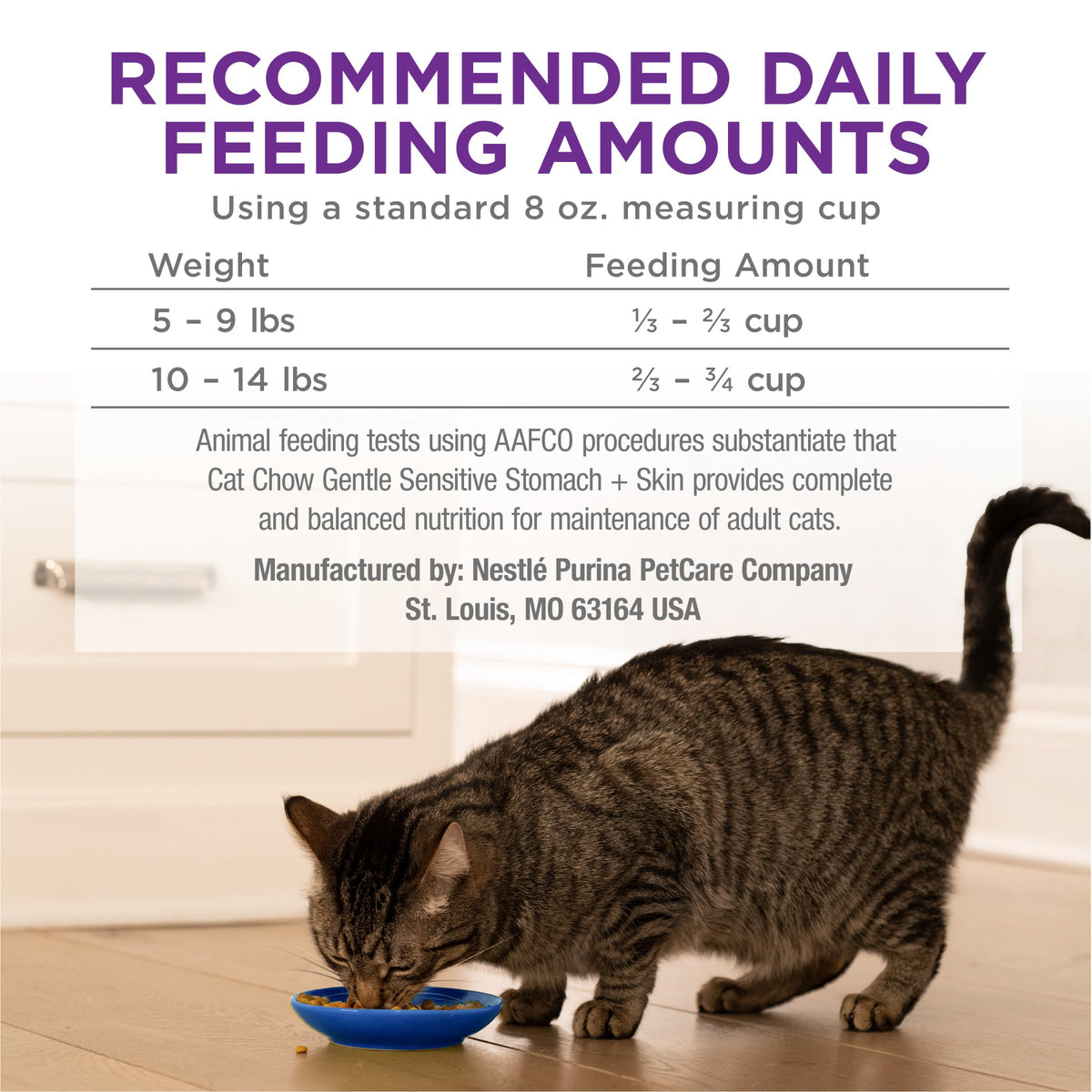 Sensitive Stomach & Skin Dry Cat Food 13 lb Bag T1465