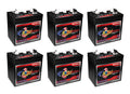 6V Deep Cycle Battery, Pack of 6 R451803