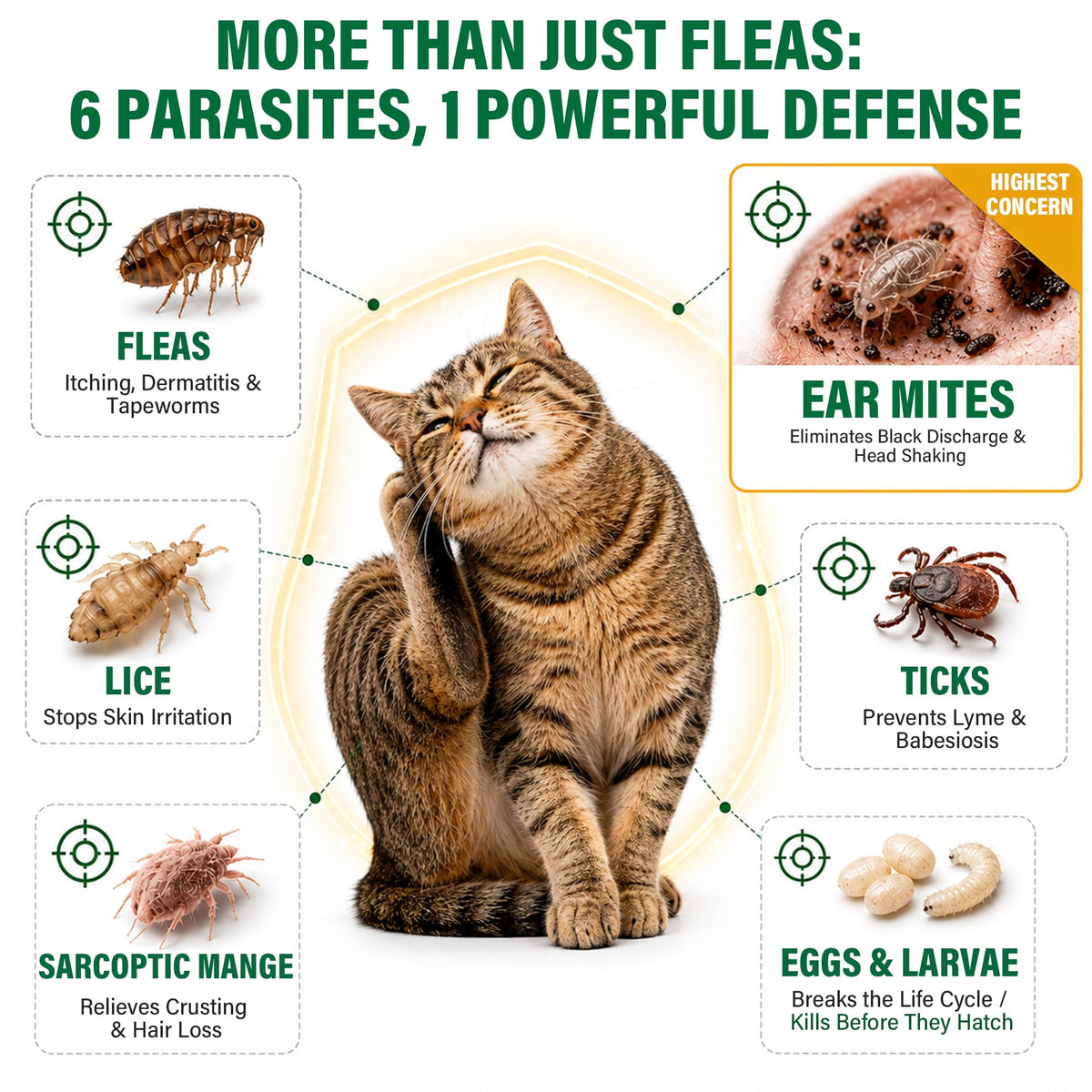 Flea and Tick Drops for Cats 6 Pack G1188