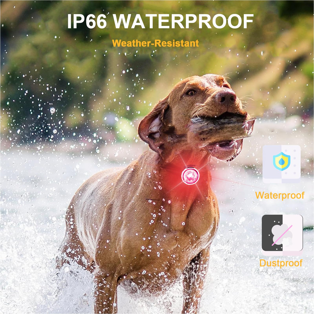 2-Pack Rechargeable Dog Collar Lights D127