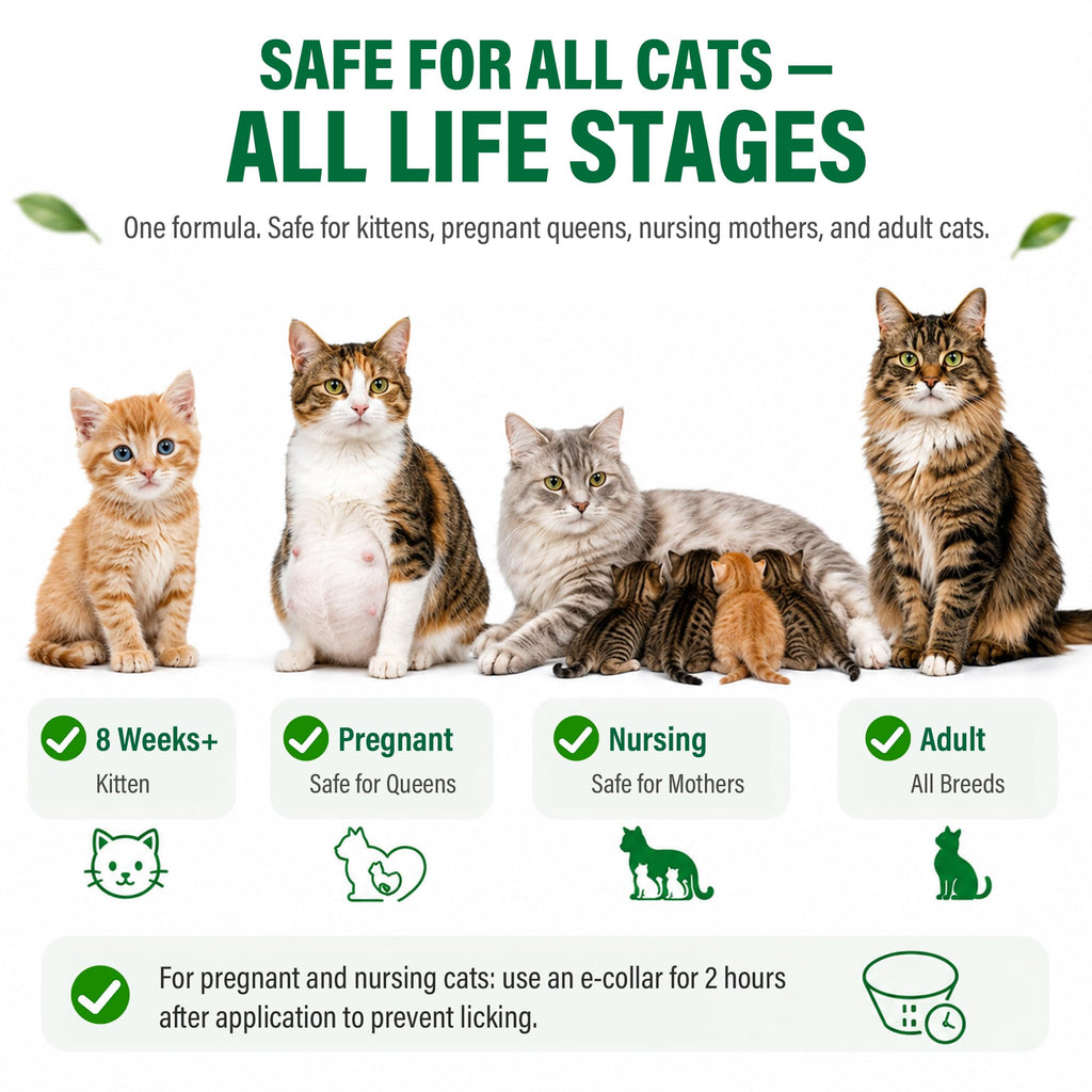 Flea and Tick Drops for Cats 6 Pack G1188