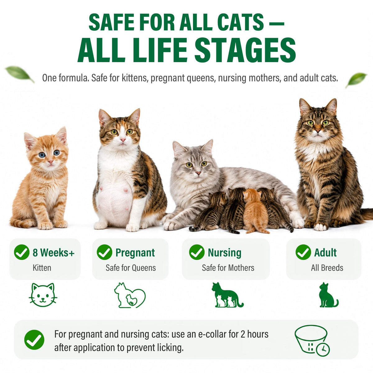 Flea and Tick Drops for Cats 6 Pack G1188