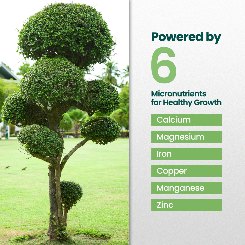 16oz Tree and Shrub Fertilizer M71827