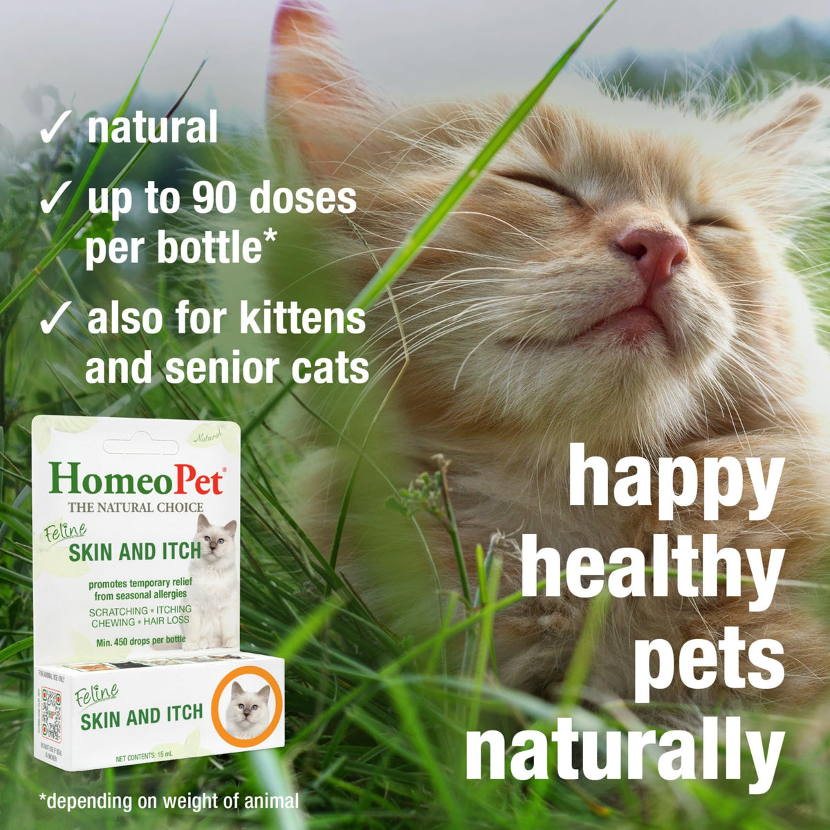 Feline Skin and Itch Supplement 15 Milliliters B874